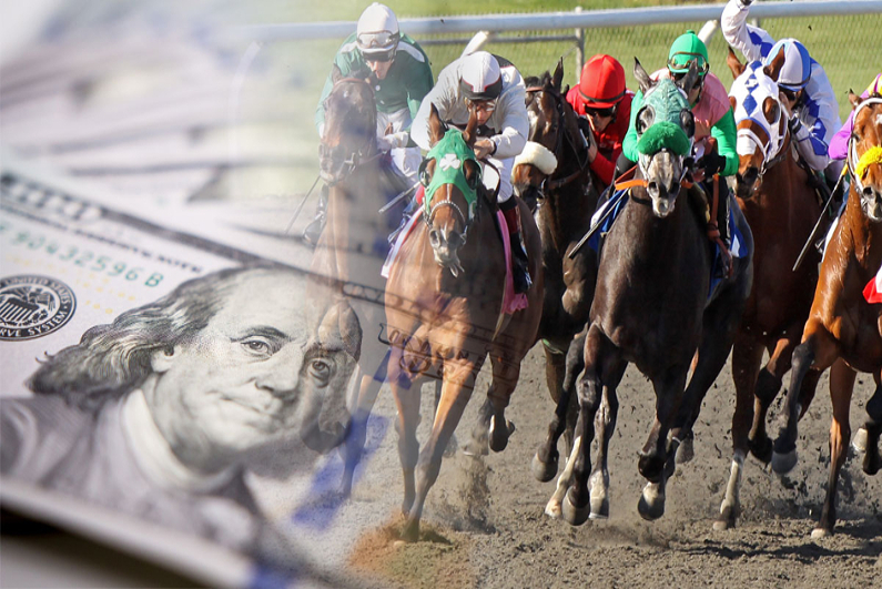 horse race bettting